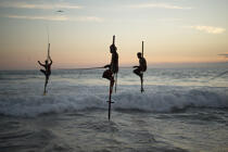 © Philip Plisson / Plisson La Trinité / AA39449 Fishermen on a stick in Sri Lanka - Photo Galleries - Job