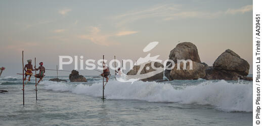 Pêcheurs sur échasse au Sri Lanka - © Philip Plisson / Plisson La Trinité / AA39451 - Nos reportages photos - Philip Plisson