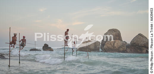 Pêcheurs sur échasse au Sri Lanka - © Philip Plisson / Plisson La Trinité / AA39453 - Nos reportages photos - Philip Plisson