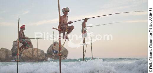Pêcheurs sur échasse au Sri Lanka - © Philip Plisson / Plisson La Trinité / AA39454 - Nos reportages photos - Métier