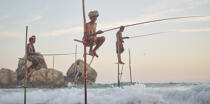 © Philip Plisson / Plisson La Trinité / AA39454 Fishermen on a stick in Sri Lanka - Photo Galleries - Maritime activity