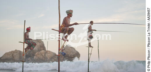 Pêcheurs sur échasse au Sri Lanka - © Philip Plisson / Plisson La Trinité / AA39457 - Nos reportages photos - Activité maritime
