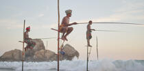 © Philip Plisson / Plisson La Trinité / AA39457 Fishermen on a stick in Sri Lanka - Photo Galleries - Color