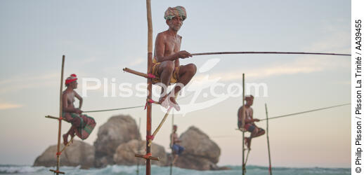 Pêcheurs sur échasse au Sri Lanka - © Philip Plisson / Plisson La Trinité / AA39455 - Nos reportages photos - Pays étranger