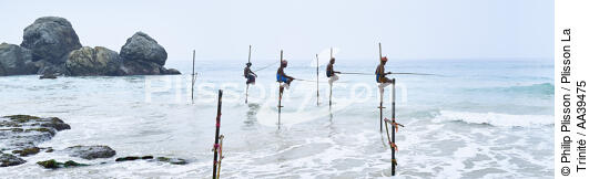 Pêcheurs sur échasse au Sri Lanka - © Philip Plisson / Plisson La Trinité / AA39475 - Nos reportages photos - Philip Plisson