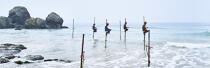 © Philip Plisson / Plisson La Trinité / AA39475 Fishermen on a stick in Sri Lanka - Photo Galleries - Horizontal panoramic