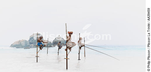 Pêcheurs sur échasse au Sri Lanka - © Philip Plisson / Plisson La Trinité / AA39459 - Nos reportages photos - Personnage