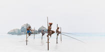 © Philip Plisson / Plisson La Trinité / AA39459 Fishermen on a stick in Sri Lanka - Photo Galleries - People