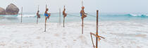 © Philip Plisson / Plisson La Trinité / AA39473 Pêcheurs sur échasse au Sri Lanka - Nos reportages photos - Panoramique horizontal