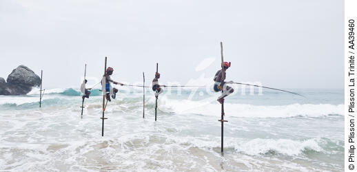 Pêcheurs sur échasse au Sri Lanka - © Philip Plisson / Plisson La Trinité / AA39460 - Nos reportages photos - Métier