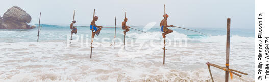 Pêcheurs sur échasse au Sri Lanka - © Philip Plisson / Plisson La Trinité / AA39474 - Nos reportages photos - Couleur