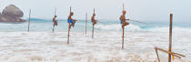 © Philip Plisson / Plisson La Trinité / AA39474 Pêcheurs sur échasse au Sri Lanka - Nos reportages photos - Philip Plisson