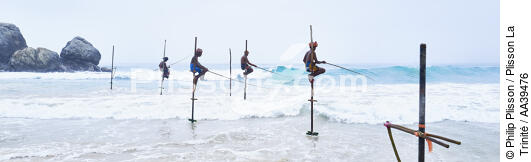 Pêcheurs sur échasse au Sri Lanka - © Philip Plisson / Plisson La Trinité / AA39476 - Nos reportages photos - Personnage