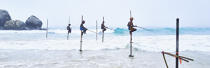 © Philip Plisson / Plisson La Trinité / AA39476 Fishermen on a stick in Sri Lanka - Photo Galleries - Maritime activity