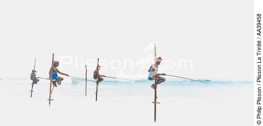 Pêcheurs sur échasse au Sri Lanka - © Philip Plisson / Plisson La Trinité / AA39458 - Nos reportages photos - Couleur