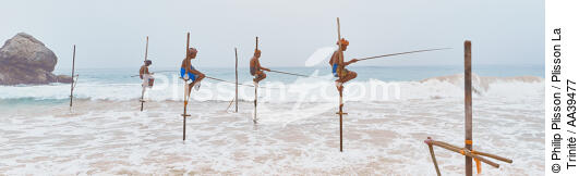 Pêcheurs sur échasse au Sri Lanka - © Philip Plisson / Plisson La Trinité / AA39477 - Nos reportages photos - Panoramique horizontal