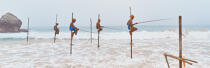 © Philip Plisson / Plisson La Trinité / AA39477 Pêcheurs sur échasse au Sri Lanka - Nos reportages photos - Panoramique horizontal