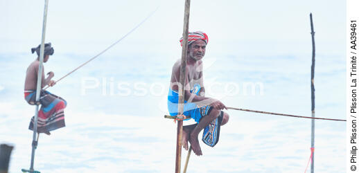 Pêcheurs sur échasse au Sri Lanka - © Philip Plisson / Plisson La Trinité / AA39461 - Nos reportages photos - Couleur