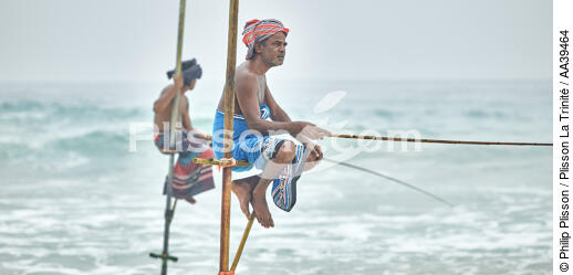 Pêcheurs sur échasse au Sri Lanka - © Philip Plisson / Plisson La Trinité / AA39464 - Nos reportages photos - Philip Plisson