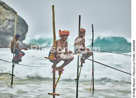 Pêcheurs sur échasse au Sri Lanka - © Philip Plisson / Plisson La Trinité / AA39466 - Nos reportages photos - Horizontal