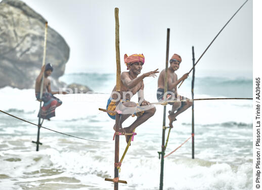 Fishermen on a stick in Sri Lanka - © Philip Plisson / Plisson La Trinité / AA39465 - Photo Galleries - Maritime activity