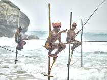 © Philip Plisson / Plisson La Trinité / AA39465 Pêcheurs sur échasse au Sri Lanka - Nos reportages photos - Horizontal