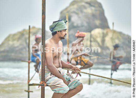Pêcheurs sur échasse au Sri Lanka - © Philip Plisson / Plisson La Trinité / AA39467 - Nos reportages photos - Horizontal