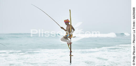 Pêcheurs sur échasse au Sri Lanka - © Philip Plisson / Plisson La Trinité / AA39468 - Nos reportages photos - Activité maritime