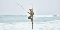© Philip Plisson / Plisson La Trinité / AA39468 Fishermen on a stick in Sri Lanka - Photo Galleries - Color