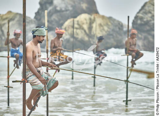 Pêcheurs sur échasse au Sri Lanka - © Philip Plisson / Plisson La Trinité / AA39472 - Nos reportages photos - Pêche