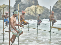 © Philip Plisson / Plisson La Trinité / AA39472 Fishermen on a stick in Sri Lanka - Photo Galleries - Fishing