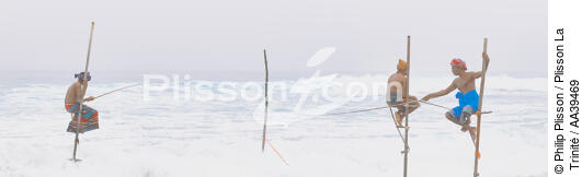 Pêcheurs sur échasse au Sri Lanka - © Philip Plisson / Plisson La Trinité / AA39469 - Nos reportages photos - Panoramique horizontal