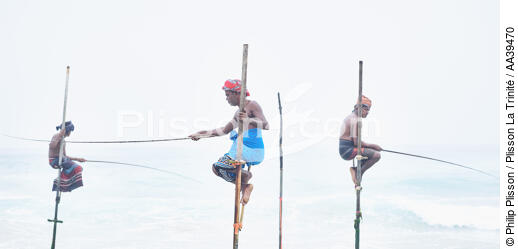 Fishermen on a stick in Sri Lanka - © Philip Plisson / Plisson La Trinité / AA39470 - Photo Galleries - Philip Plisson
