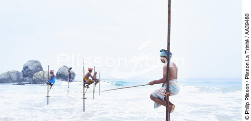 Pêcheurs sur échasse au Sri Lanka - © Philip Plisson / Plisson La Trinité / AA39480 - Nos reportages photos - Pêche