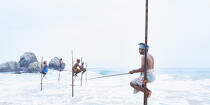 © Philip Plisson / Plisson La Trinité / AA39480 Pêcheurs sur échasse au Sri Lanka - Nos reportages photos - Couleur