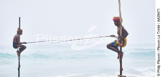 Pêcheurs sur échasse au Sri Lanka - © Philip Plisson / Plisson La Trinité / AA39471 - Nos reportages photos - Activité maritime