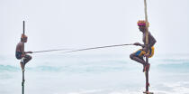 © Philip Plisson / Plisson La Trinité / AA39471 Pêcheurs sur échasse au Sri Lanka - Nos reportages photos - Couleur