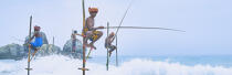 © Philip Plisson / Plisson La Trinité / AA39479 Fishermen on a stick in Sri Lanka - Photo Galleries - Maritime activity
