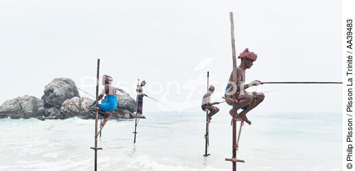 Pêcheurs sur échasse au Sri Lanka - © Philip Plisson / Plisson La Trinité / AA39483 - Nos reportages photos - Auteur