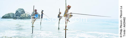 Pêcheurs sur échasse au Sri Lanka - © Philip Plisson / Plisson La Trinité / AA39482 - Nos reportages photos - Panoramique horizontal