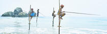 © Philip Plisson / Plisson La Trinité / AA39482 Pêcheurs sur échasse au Sri Lanka - Nos reportages photos - Panoramique horizontal