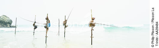 Pêcheurs sur échasse au Sri Lanka - © Philip Plisson / Plisson La Trinité / AA39484 - Nos reportages photos - Activité maritime