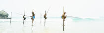 © Philip Plisson / Plisson La Trinité / AA39484 Fishermen on a stick in Sri Lanka - Photo Galleries - Color