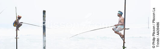 Pêcheurs sur échasse au Sri Lanka - © Philip Plisson / Plisson La Trinité / AA39486 - Nos reportages photos - Activité maritime