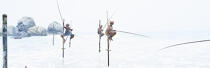 © Philip Plisson / Plisson La Trinité / AA39487 Fishermen on a stick in Sri Lanka - Photo Galleries - Color