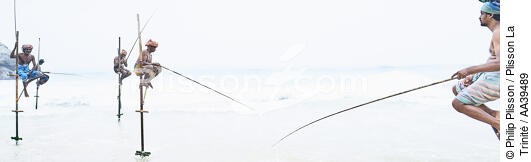 Pêcheurs sur échasse au Sri Lanka - © Philip Plisson / Plisson La Trinité / AA39489 - Nos reportages photos - Philip Plisson