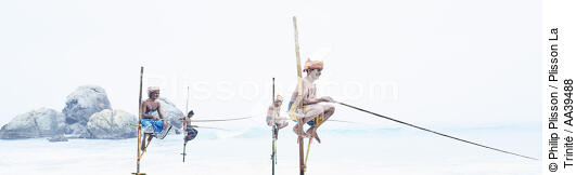 Fishermen on a stick in Sri Lanka - © Philip Plisson / Plisson La Trinité / AA39488 - Photo Galleries - People