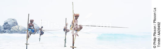 Fishermen on a stick in Sri Lanka - © Philip Plisson / Plisson La Trinité / AA39492 - Photo Galleries - Philip Plisson
