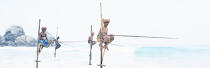 © Philip Plisson / Plisson La Trinité / AA39492 Fishermen on a stick in Sri Lanka - Photo Galleries - Philip Plisson