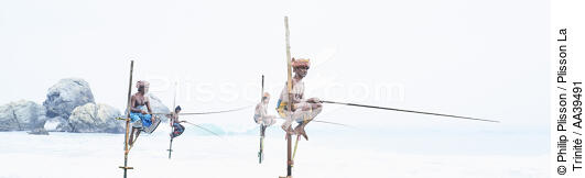 Fishermen on a stick in Sri Lanka - © Philip Plisson / Plisson La Trinité / AA39491 - Photo Galleries - Color